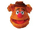 https://image.noelshack.com/fichiers/2017/07/1486998031-muppet-fozzie.png