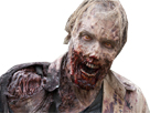 https://image.noelshack.com/minis/2017/07/1487025655-rodeurtwd.png