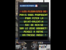 https://image.noelshack.com/fichiers/2017/07/1487062733-iphone-image-02-14-2017.jpg