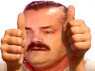 https://image.noelshack.com/fichiers/2017/08/1487675111-1479465061-risithumbs.png
