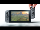 https://image.noelshack.com/fichiers/2017/08/1487756895-switch-gamepad.jpg