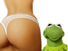 https://image.noelshack.com/fichiers/2017/08/1487879134-kermit-szxe.png