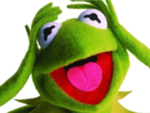 https://www.noelshack.com/2017-08-1487986443-1480015843-kermit-4.png