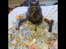 https://image.noelshack.com/fichiers/2017/09/1488234586-02dfa46c45f889097da84e98c358a3ab.jpg