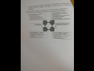 https://image.noelshack.com/fichiers/2017/09/1488321317-img-20170228-232907.jpg