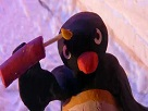 https://image.noelshack.com/fichiers/2017/09/1488398815-pingu-bomb.jpg