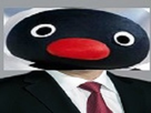 https://image.noelshack.com/fichiers/2017/09/1488398818-pingu-directeur.jpg