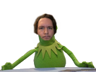 https://image.noelshack.com/minis/2017/09/1488409184-1488407082-1486469520-kermit-table.png
