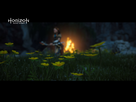 https://image.noelshack.com/fichiers/2017/09/1488748961-horizon-zero-dawn-tm-20170304220403.jpg