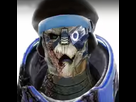https://image.noelshack.com/fichiers/2017/10/1488761932-garrus-afro.jpg
