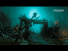 https://image.noelshack.com/fichiers/2017/10/1488812865-horizon-forum-027.jpg