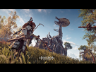 https://image.noelshack.com/fichiers/2017/10/1488812888-horizon-forum-029.jpg