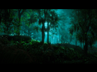 https://image.noelshack.com/fichiers/2017/10/1488819781-horizon-zero-dawn-tm-20170302225514.jpg