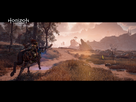 https://image.noelshack.com/fichiers/2017/10/1488858427-horizon-zero-dawn-tm-20170307013019.jpg