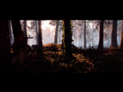https://image.noelshack.com/fichiers/2017/10/1488858431-horizon-zero-dawn-tm-20170307012205.jpg