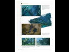 https://image.noelshack.com/fichiers/2017/10/1489092549-the-legend-of-zelda-breath-page-240.png