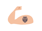 https://image.noelshack.com/fichiers/2017/10/1489176412-muscle.png