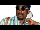 https://image.noelshack.com/minis/2017/10/1489188093-tupacrisitas2.png