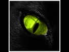 https://image.noelshack.com/fichiers/2017/10/1489354245-green-cat-eye-by-hachaosagent.jpg