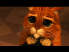 https://image.noelshack.com/fichiers/2017/11/1489517864-chatpotte.png