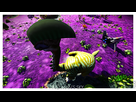 https://image.noelshack.com/fichiers/2017/11/1489681019-no-man-s-sky-20170311033942-copie.png