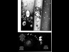 https://image.noelshack.com/fichiers/2017/11/1489687299-berserk-vol13chap03-fr-21-f-c.jpg