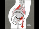 https://www.noelshack.com/2017-11-1489927766-anterior-pelvic-tilt-diagram.jpg