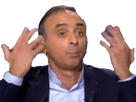 https://www.noelshack.com/2017-11-1489954991-1488389968-zemmour-vener.png