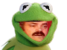 https://image.noelshack.com/fichiers/2017/12/1490030353-risitas-kermit.png
