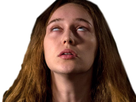 https://image.noelshack.com/fichiers/2017/12/1490113407-000000.png