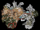 https://image.noelshack.com/fichiers/2017/12/1490447623-hzd-map-cauldrons-1.jpg
