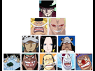 https://image.noelshack.com/fichiers/2017/13/1490636428-shichibukai.png