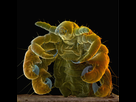 https://image.noelshack.com/minis/2017/13/1490695229-aaaa.png
