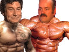 https://image.noelshack.com/fichiers/2017/13/1490955452-1490904134-1479343543-risitasgomuscu3.png