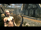 https://image.noelshack.com/fichiers/2017/13/1491001805-the-elder-scrolls-v-skyrim-special-edition-04-01-2017-00-53-01-01.png