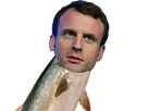 https://image.noelshack.com/fichiers/2017/13/1491027365-escrocmacron.png