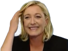 https://image.noelshack.com/fichiers/2017/14/1491246670-marine9.png