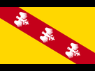 https://image.noelshack.com/fichiers/2017/14/1491331759-langfr-225px-flag-of-lorraine-svg2.png