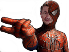 https://image.noelshack.com/fichiers/2017/14/1491406419-spider-not.png