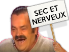 https://image.noelshack.com/fichiers/2017/14/1491410932-sec-et-nerveux.png