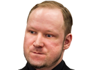 https://image.noelshack.com/minis/2017/14/1491432873-breivik3.png