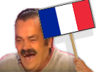 https://image.noelshack.com/fichiers/2017/14/1491494532-france.png