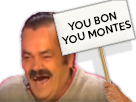 https://image.noelshack.com/fichiers/2017/14/1491497380-you-bon-you-montes.png