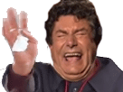 https://image.noelshack.com/fichiers/2017/15/1491855040-3387.png