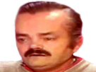https://image.noelshack.com/fichiers/2017/15/1491906697-1491334370-risihead.png
