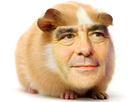 https://image.noelshack.com/fichiers/2017/15/1491988265-fillon-inde.png