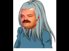 https://image.noelshack.com/fichiers/2017/15/1492204079-capture.png
