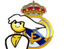 https://image.noelshack.com/fichiers/2017/16/1492384321-realmadridmasterrace.jpg