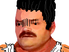 https://image.noelshack.com/fichiers/2017/16/1492441985-gonsan.png