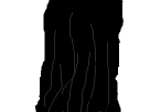 https://image.noelshack.com/fichiers/2017/16/1492442307-gonsancheveux1.png